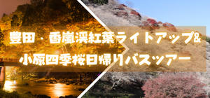 豊田・香嵐渓紅葉ライトアップ＆小原四季桜日帰りバスツアー