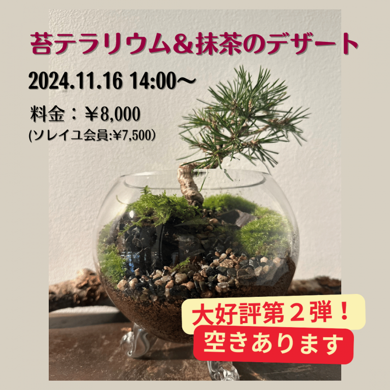 11/16(土)開催！【苔テラリウム＆抹茶のデザート】